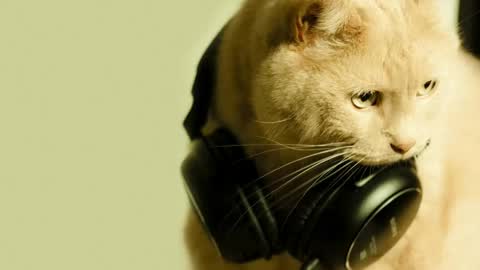 li_lit online show from April 30, 7:25 am