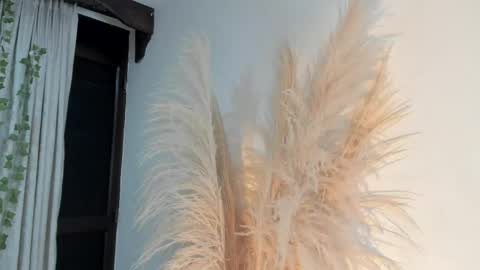 Lia online show from April 16, 3:29 am