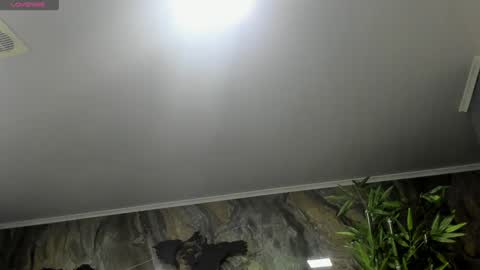 LIAM KLEIN online show from January 25, 11:23 am