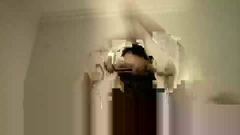 LPBT online show from September 15, 9:15 pm