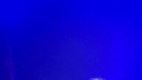 LickYourYoni online show from January 13, 2:21 pm