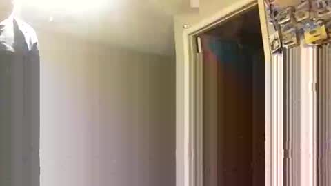 Snapshot of lie2ne chatting on November 16, 3:50 pm lie2ne online show from November 16, 3:50 pm