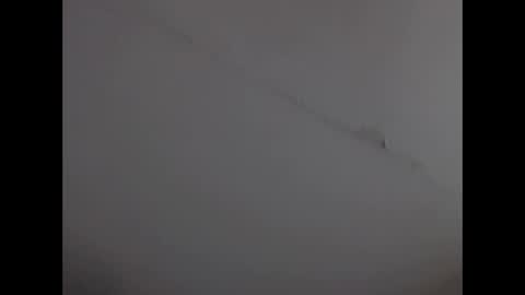 Lihan online show from February 3, 10:47 am