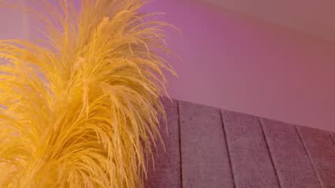 Liiam Luna online show from January 16, 9:13 am