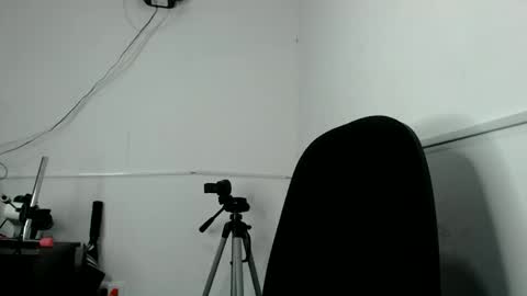 liilithstone online show from April 21, 2:51 am