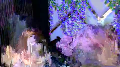 Brittany online show from December 3, 2:48 pm