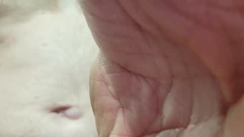 like_fun_ online show from April 8, 5:51 am