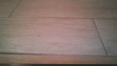 lildicksissy online show from November 22, 11:59 pm