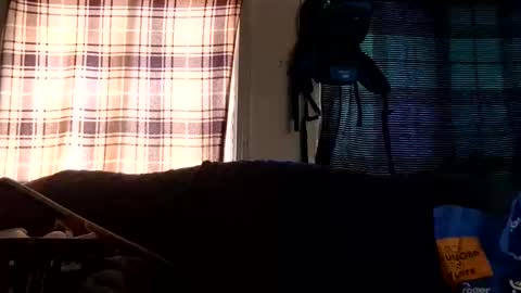 lildurke65 online show from February 10, 9:19 pm