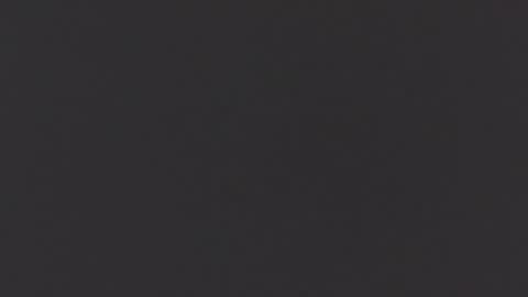 Snapshot of lilemmy1999 chatting on November 10, 7:57 pm emily ryanson online show from November 10, 7:57 pm