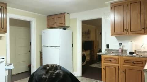 Snapshot of lilly_adams88 chatting on November 24, 11:04 pm lilly_adams88 online show from November 24, 11:04 pm