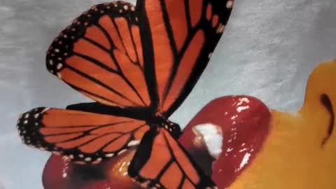 Snapshot of lilvioletxxx chatting on November 29, 4:15 am Little Violet online show from November 29, 4:15 am