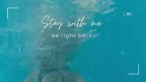 Snapshot of lily_foster_ chatting on September 11, 6:24 am Lily online show from September 11, 6:24 am