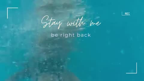 Snapshot of lily_foster_ chatting on September 22, 5:42 am Lily online show from September 22, 5:42 am