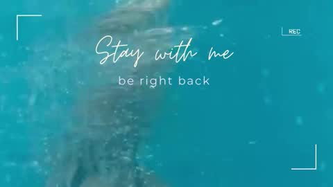 Snapshot of lily_foster_ chatting on September 29, 11:48 am Lily online show from September 29, 11:48 am