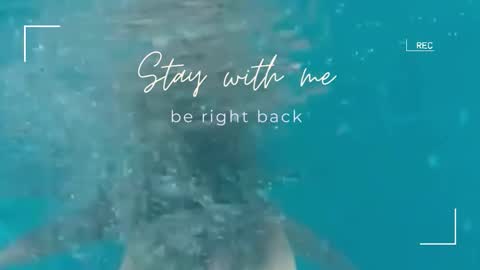 Snapshot of lily_foster_ chatting on November 2, 6:27 am Lily online show from November 2, 6:27 am