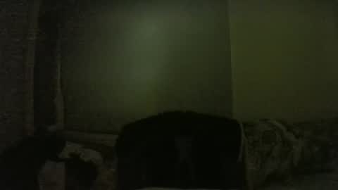 Snapshot of lily_lovelyman_ chatting on February 1, 6:08 pm lily lovelyman online show from February 1, 6:08 pm