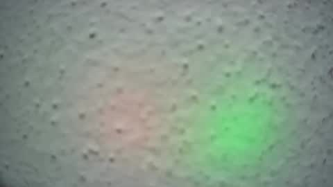 Snapshot of lily_lovelyman_ chatting on February 13, 6:52 am lily lovelyman online show from February 13, 6:52 am