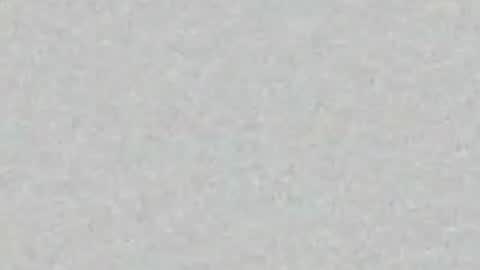 lily online show from April 23, 2:46 am