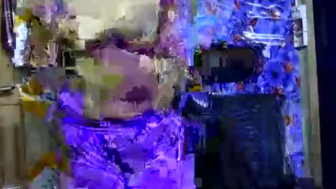 Snapshot of limaakter246618 chatting on October 21, 4:41 pm limaakter246618 online show from October 21, 4:41 pm