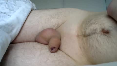 Snapshot of lion2662 chatting on January 3, 10:41 am lion2662 online show from January 3, 10:41 am