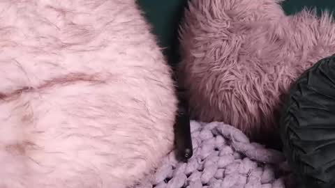 Snapshot of lireesa chatting on October 2, 4:52 am Lire online show from October 2, 4:52 am