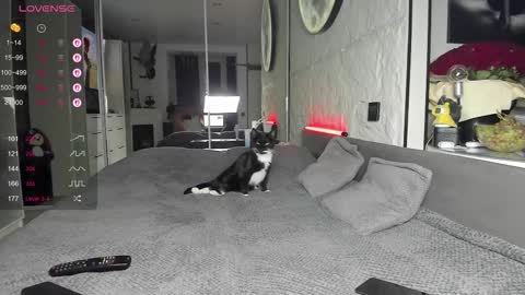 Lisa online show from November 17, 2:45 pm