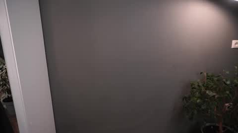 Snapshot of lisa_schiele chatting on November 26, 8:21 pm Elisabeth or Lisa online show from November 26, 8:21 pm