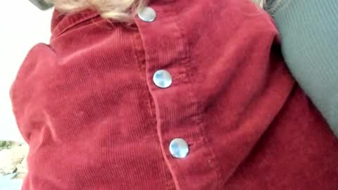 Snapshot of lissacain chatting on October 30, 5:24 pm Lissa online show from October 30, 5:24 pm