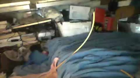 Snapshot of littlejay4773 chatting on October 4, 7:17 am littlejay littlejay online show from October 4, 7:17 am