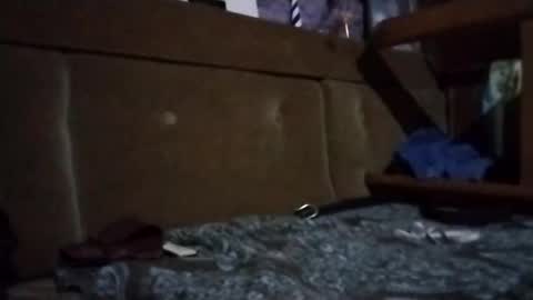 Snapshot of littlejay4773 chatting on November 1, 1:35 pm littlejay littlejay online show from November 1, 1:35 pm