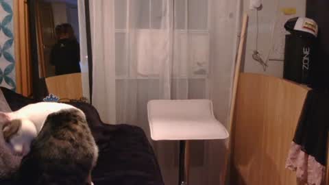 Snapshot of littleleo96 chatting on September 9, 10:59 am littleleo96 online show from September 9, 10:59 am