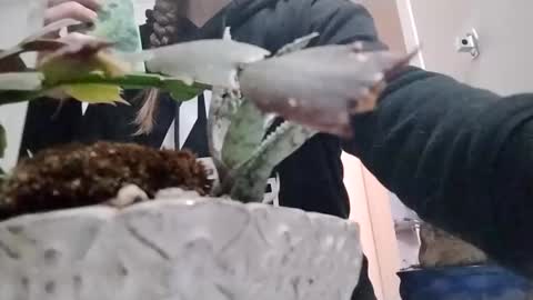 Snapshot of littleleo96 chatting on October 5, 11:08 am littleleo96 online show from October 5, 11:08 am