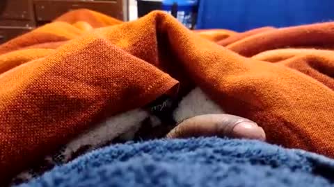 loganncky online show from March 5, 7:59 am