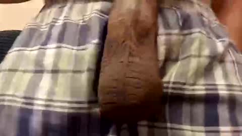 lokeleo online show from December 2, 3:40 pm