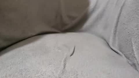 Snapshot of lokoloko22 chatting on November 28, 5:37 pm Lokoloko22 online show from November 28, 5:37 pm