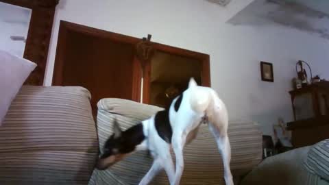 LOLA HUESO y ERIC online show from January 15, 9:58 am