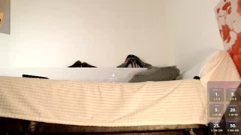 Snapshot of lollatiny chatting on October 27, 6:50 am Miss Lolla online show from October 27, 6:50 am