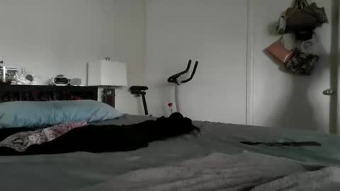 Snapshot of londonmariexxx chatting on November 16, 8:47 pm LondonMariexxx online show from November 16, 8:47 pm