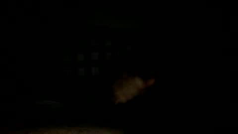 Snapshot of lonezane chatting on November 14, 7:34 pm Handsome Cock online show from November 14, 7:34 pm