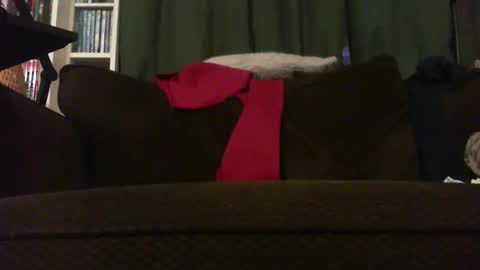 Snapshot of longlorne chatting on November 18, 4:28 am longlorne online show from November 18, 4:28 am