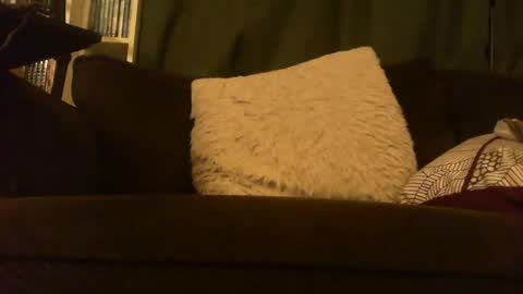 Snapshot of longlorne chatting on February 12, 5:13 am longlorne online show from February 12, 5:13 am