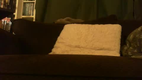 Snapshot of longlorne chatting on February 15, 4:31 am longlorne online show from February 15, 4:31 am