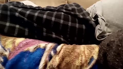 looking4bush online show from December 1, 7:36 pm