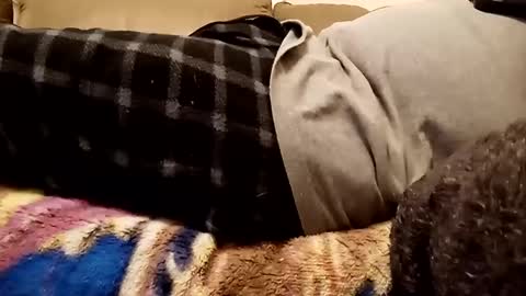 looking4bush online show from December 1, 10:43 pm