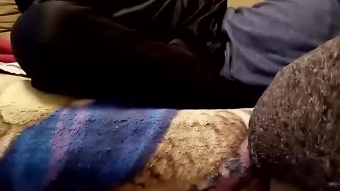 looking4bush online show from November 13, 6:01 am