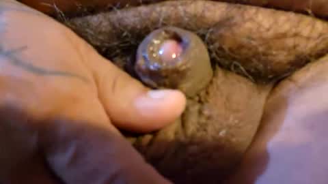 2791 3D online show from March 19, 12:58 am