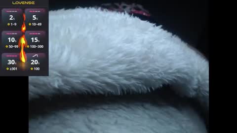 Snapshot of lorenitha_20 chatting on October 27, 2:59 am lorenitha online show from October 27, 2:59 am