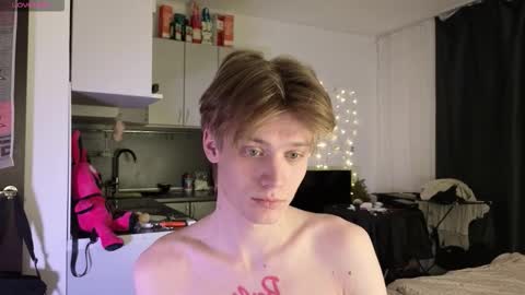 louie_evans online show from January 18, 4:05 am