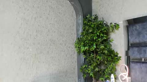 Snapshot of louis_connor chatting on November 25, 6:02 am Louis online show from November 25, 6:02 am